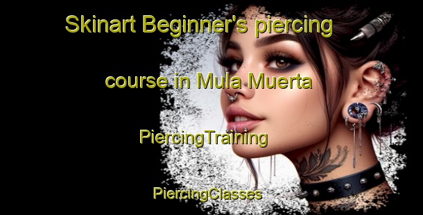 Skinart Beginner's piercing course in Mula Muerta | PiercingTraining | PiercingClasses | SkinartTraining-Argentina
