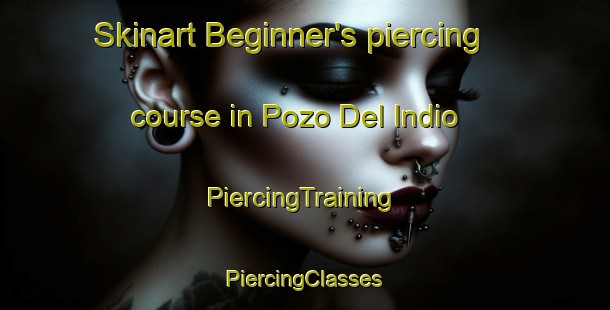 Skinart Beginner's piercing course in Pozo Del Indio | #PiercingTraining #PiercingClasses #SkinartTraining-Argentina