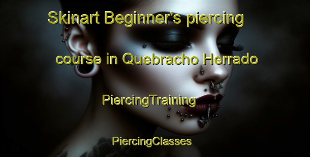 Skinart Beginner's piercing course in Quebracho Herrado | PiercingTraining | PiercingClasses | SkinartTraining-Argentina