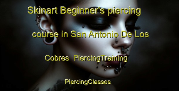 Skinart Beginner's piercing course in San Antonio De Los Cobres | PiercingTraining | PiercingClasses | SkinartTraining-Argentina