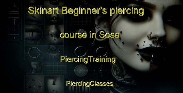 Skinart Beginner's piercing course in Sosa | PiercingTraining | PiercingClasses | SkinartTraining-Argentina