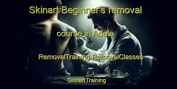 Skinart Beginner's removal course in Adela | #RemovalTraining #RemovalClasses #SkinartTraining-Argentina