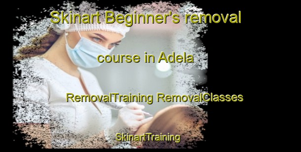 Skinart Beginner's removal course in Adela | #RemovalTraining #RemovalClasses #SkinartTraining-Argentina