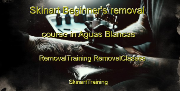 Skinart Beginner's removal course in Aguas Blancas | #RemovalTraining #RemovalClasses #SkinartTraining-Argentina