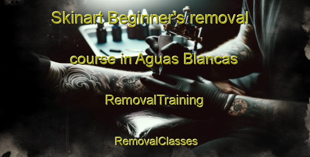 Skinart Beginner's removal course in Aguas Blancas | RemovalTraining | RemovalClasses | SkinartTraining-Argentina