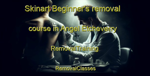 Skinart Beginner's removal course in Angel Etcheverry | RemovalTraining | RemovalClasses | SkinartTraining-Argentina