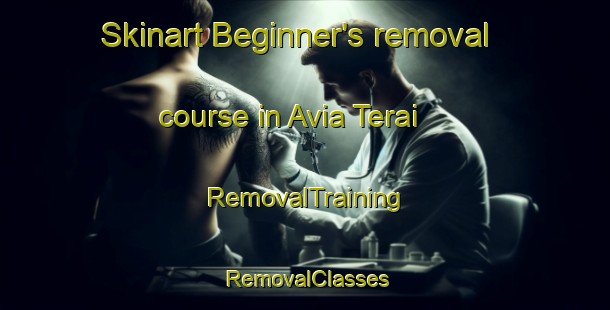 Skinart Beginner's removal course in Avia Terai | RemovalTraining | RemovalClasses | SkinartTraining-Argentina
