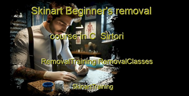 Skinart Beginner's removal course in C  Sirtori | #RemovalTraining #RemovalClasses #SkinartTraining-Argentina