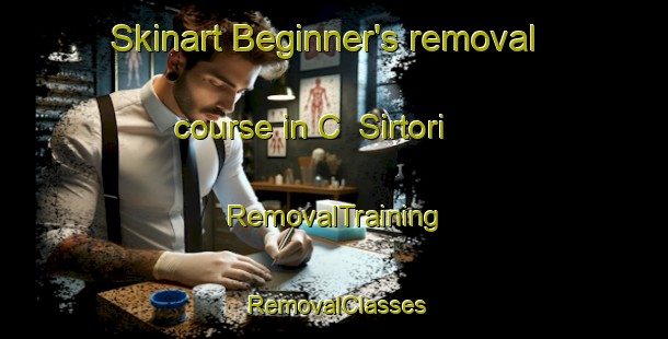 Skinart Beginner's removal course in C  Sirtori | RemovalTraining | RemovalClasses | SkinartTraining-Argentina