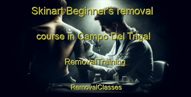 Skinart Beginner's removal course in Campo Del Trigal | RemovalTraining | RemovalClasses | SkinartTraining-Argentina