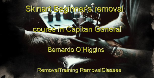 Skinart Beginner's removal course in Capitan General Bernardo O Higgins | #RemovalTraining #RemovalClasses #SkinartTraining-Argentina