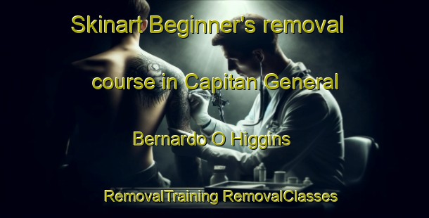 Skinart Beginner's removal course in Capitan General Bernardo O Higgins | #RemovalTraining #RemovalClasses #SkinartTraining-Argentina