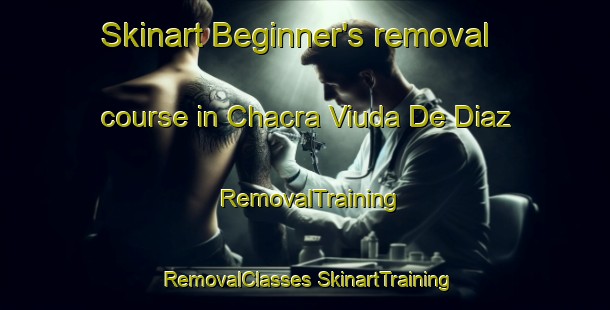 Skinart Beginner's removal course in Chacra Viuda De Diaz | #RemovalTraining #RemovalClasses #SkinartTraining-Argentina