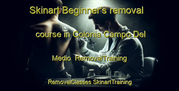 Skinart Beginner's removal course in Colonia Campo Del Medio | #RemovalTraining #RemovalClasses #SkinartTraining-Argentina