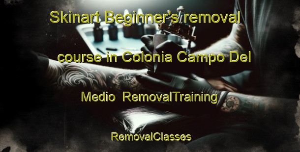 Skinart Beginner's removal course in Colonia Campo Del Medio | RemovalTraining | RemovalClasses | SkinartTraining-Argentina