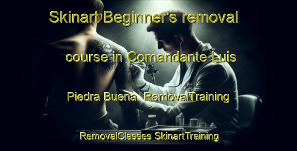 Skinart Beginner's removal course in Comandante Luis Piedra Buena | #RemovalTraining #RemovalClasses #SkinartTraining-Argentina