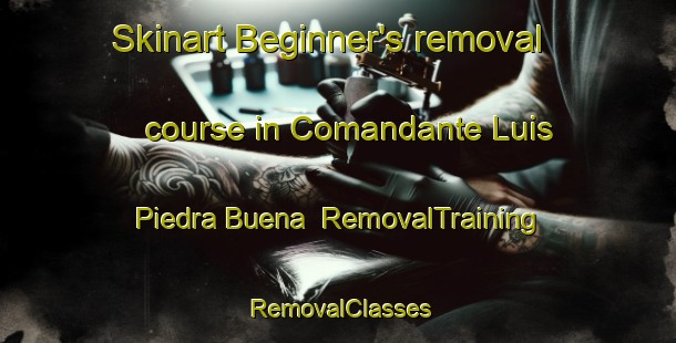 Skinart Beginner's removal course in Comandante Luis Piedra Buena | RemovalTraining | RemovalClasses | SkinartTraining-Argentina