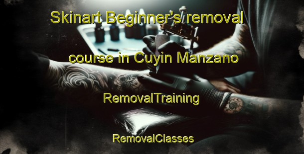 Skinart Beginner's removal course in Cuyin Manzano | RemovalTraining | RemovalClasses | SkinartTraining-Argentina