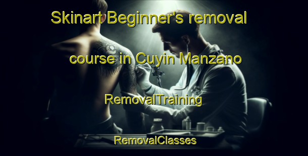 Skinart Beginner's removal course in Cuyin Manzano | RemovalTraining | RemovalClasses | SkinartTraining-Argentina