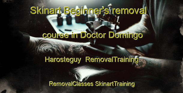 Skinart Beginner's removal course in Doctor Domingo Harosteguy | #RemovalTraining #RemovalClasses #SkinartTraining-Argentina