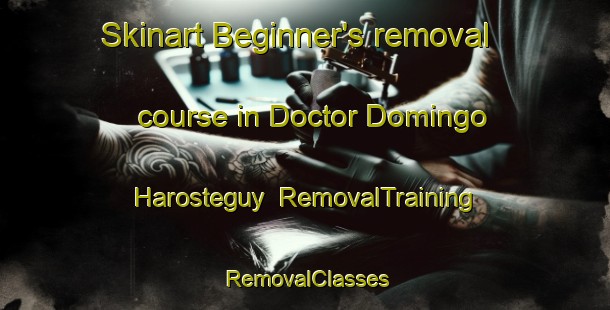 Skinart Beginner's removal course in Doctor Domingo Harosteguy | RemovalTraining | RemovalClasses | SkinartTraining-Argentina