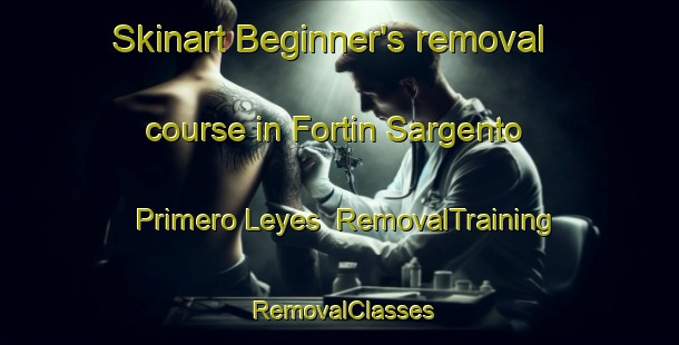 Skinart Beginner's removal course in Fortin Sargento Primero Leyes | RemovalTraining | RemovalClasses | SkinartTraining-Argentina