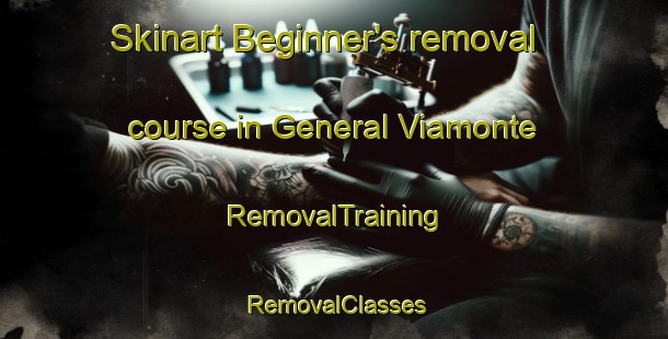 Skinart Beginner's removal course in General Viamonte | RemovalTraining | RemovalClasses | SkinartTraining-Argentina