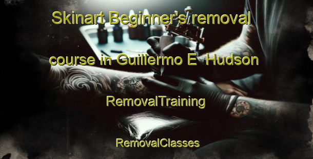 Skinart Beginner's removal course in Guillermo E  Hudson | RemovalTraining | RemovalClasses | SkinartTraining-Argentina