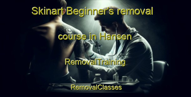 Skinart Beginner's removal course in Hansen | RemovalTraining | RemovalClasses | SkinartTraining-Argentina