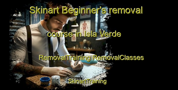 Skinart Beginner's removal course in Isla Verde | #RemovalTraining #RemovalClasses #SkinartTraining-Argentina