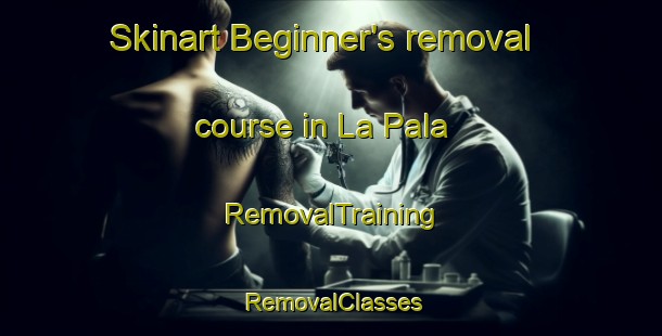 Skinart Beginner's removal course in La Pala | RemovalTraining | RemovalClasses | SkinartTraining-Argentina