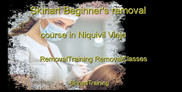 Skinart Beginner's removal course in Niquivil Viejo | #RemovalTraining #RemovalClasses #SkinartTraining-Argentina