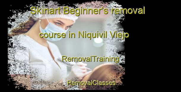 Skinart Beginner's removal course in Niquivil Viejo | RemovalTraining | RemovalClasses | SkinartTraining-Argentina