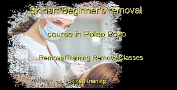 Skinart Beginner's removal course in Poleo Pozo | #RemovalTraining #RemovalClasses #SkinartTraining-Argentina