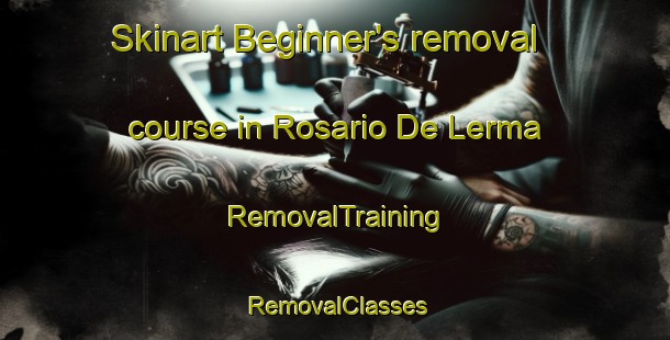 Skinart Beginner's removal course in Rosario De Lerma | RemovalTraining | RemovalClasses | SkinartTraining-Argentina