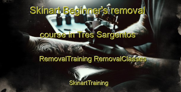 Skinart Beginner's removal course in Tres Sargentos | #RemovalTraining #RemovalClasses #SkinartTraining-Argentina