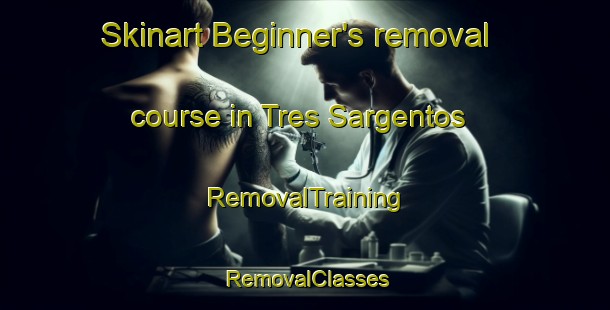 Skinart Beginner's removal course in Tres Sargentos | RemovalTraining | RemovalClasses | SkinartTraining-Argentina