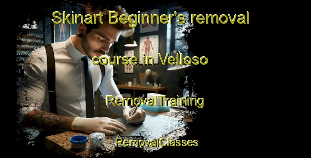Skinart Beginner's removal course in Velloso | RemovalTraining | RemovalClasses | SkinartTraining-Argentina