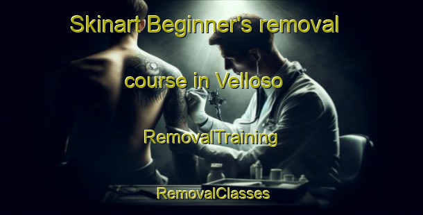 Skinart Beginner's removal course in Velloso | RemovalTraining | RemovalClasses | SkinartTraining-Argentina