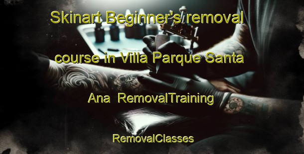 Skinart Beginner's removal course in Villa Parque Santa Ana | RemovalTraining | RemovalClasses | SkinartTraining-Argentina