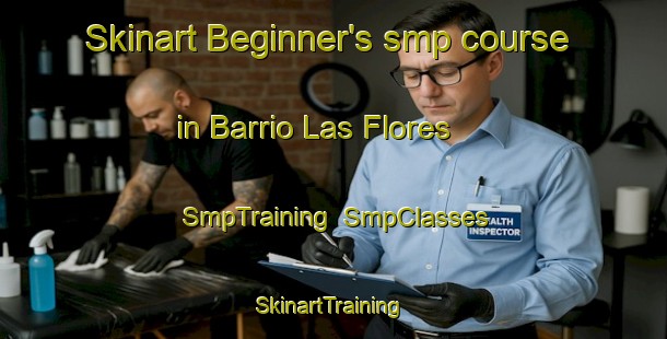 Skinart Beginner's smp course in Barrio Las Flores | SmpTraining | SmpClasses | SkinartTraining-Argentina