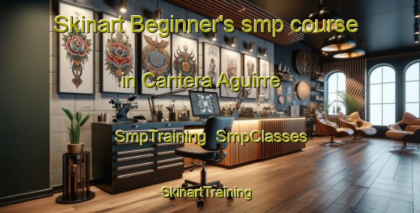 Skinart Beginner's smp course in Cantera Aguirre | SmpTraining | SmpClasses | SkinartTraining-Argentina