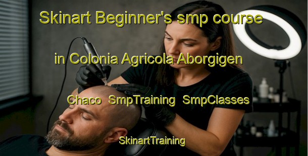 Skinart Beginner's smp course in Colonia Agricola Aborgigen Chaco | SmpTraining | SmpClasses | SkinartTraining-Argentina