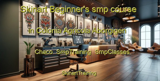 Skinart Beginner's smp course in Colonia Agricola Aborgigen Chaco | SmpTraining | SmpClasses | SkinartTraining-Argentina