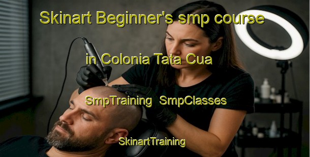 Skinart Beginner's smp course in Colonia Tata Cua | SmpTraining | SmpClasses | SkinartTraining-Argentina