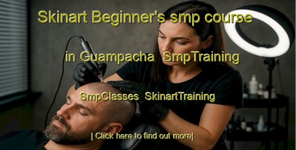 Skinart Beginner's smp course in Guampacha | SmpTraining | SmpClasses | SkinartTraining-Argentina