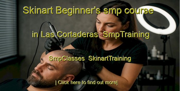 Skinart Beginner's smp course in Las Cortaderas | SmpTraining | SmpClasses | SkinartTraining-Argentina