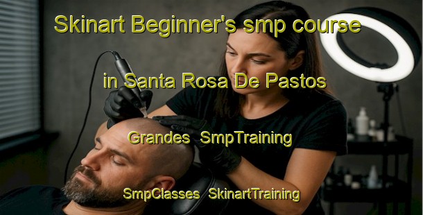 Skinart Beginner's smp course in Santa Rosa De Pastos Grandes | SmpTraining | SmpClasses | SkinartTraining-Argentina