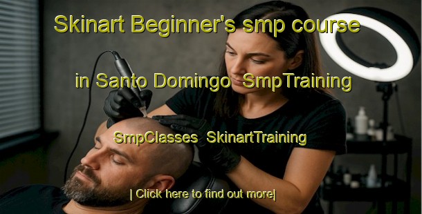 Skinart Beginner's smp course in Santo Domingo | SmpTraining | SmpClasses | SkinartTraining-Argentina
