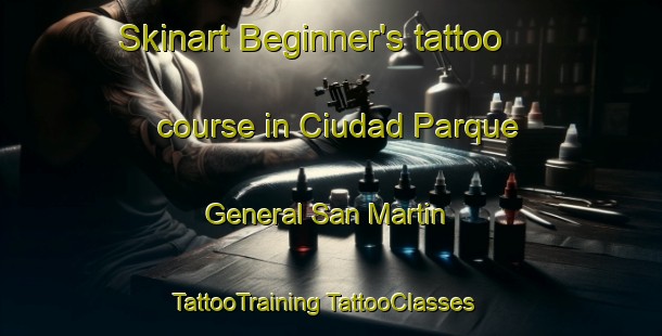 Skinart Beginner's tattoo course in Ciudad Parque General San Martin | #TattooTraining #TattooClasses #SkinartTraining-Argentina